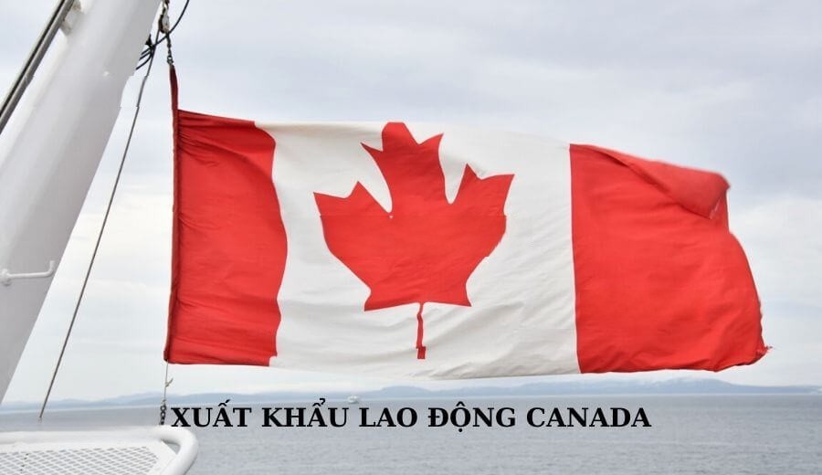 xuat khau lao dong canada